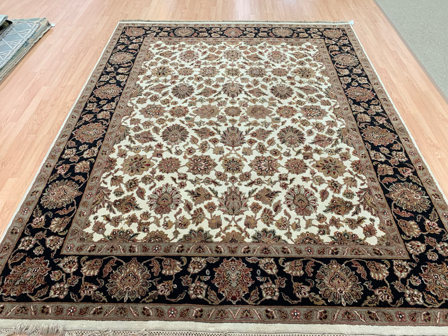 Hand-Knotted Wool Ivory/Black Agra Rug (8'x10'2")