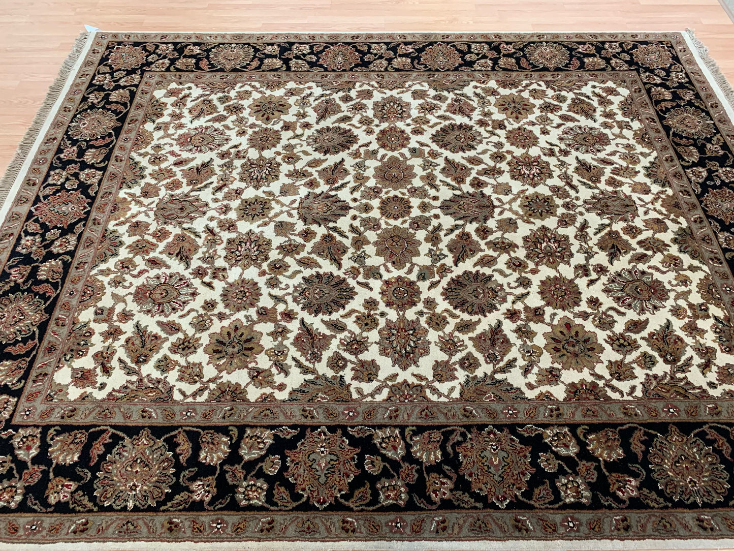 Hand-Knotted Wool Ivory/Black Agra Rug (8'x10'2")